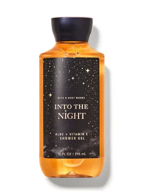 INTO THE NIGHT